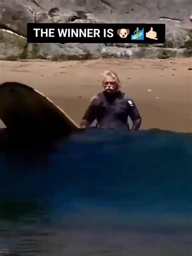 Man's Best Friend SURFING!A little fun for a change! - NewsBreak