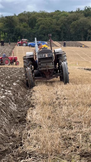 91K views · 1K reactions | Raymond Smart ploughing with his Fordson tractor at the Saline Vintage ploughing match 2025. #fordson #ploughingmatch #ploughing | The Farming Enthusiast | Facebook