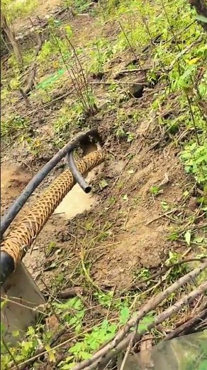 underground cable installation process #shorts