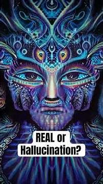 Are DMT Entities REAL or Hallucinations?