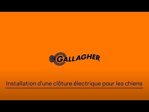 Installation d'une clôture électrique pour les chiens