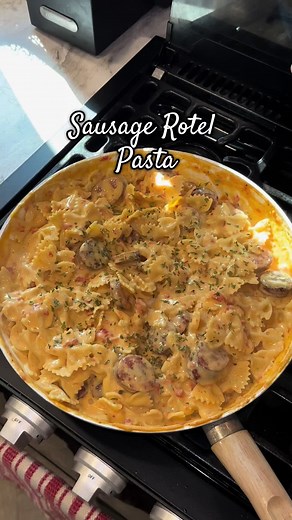 INGREDIENTS: Andouille sausage Cream of chicken 1 can rotel 16 oz velveeta cheese Bow tie pasta #pasta #dinner #rotelpasta #dinnerideas #dinnerwithme #easyrecipe #easydinnerideas #quickrecipes