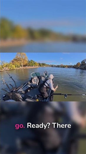 Absolute Tank! Look at the color of this fish!