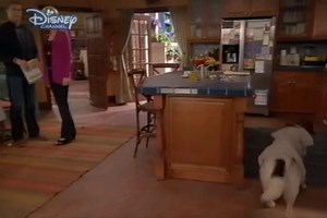 Dog with a blog s01 ep18