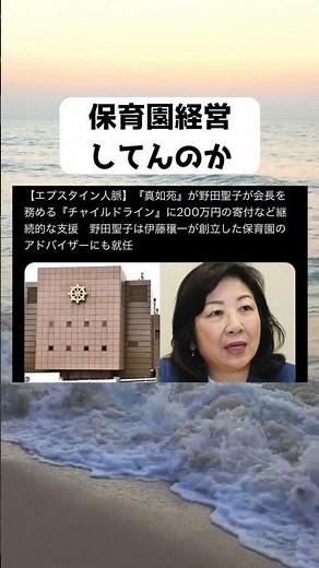 #エプスタイン人脈, #真如苑, #野田聖子, #チャイルドライン, #伊藤穰一, #RAPT理論, #寄付, #児童支援, #日本政治, #SNS話題