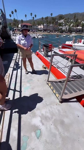 2.1K views · 50 reactions | Our underwater sub tour is one of the best ways to get a look at the diverse marine life that surrounds Catalina Island. Take a peek under the sea and try to get a glimpse of calico bass, garibaldi, bat rays, and more! 麗⁠ ⁠ : @airbornecamera⁠ on IG | Catalina Island Company | Facebook