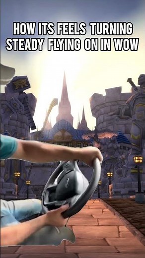 how it feels turning on steady flying in wow #wow #worldofwarcraft #warcraft