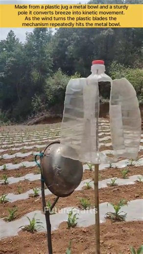 Creative Homemade Scarecrow Using Recycled Plastics