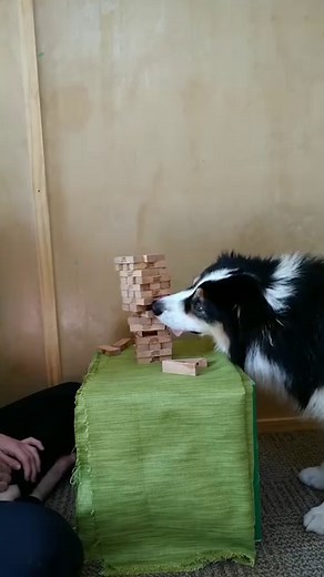 6.6M views · 245K reactions | When ya too nice to take what's yours back  | Ozzy Man Reviews | Facebook