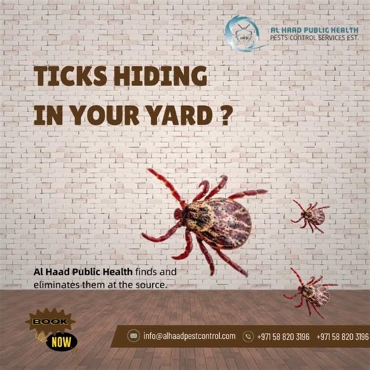 Ticks Hiding in Your Yard? | Al Haad Public Health Pest Control UAE 🕷️