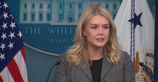 Levitt disputes Pope Leo's comments on immigration in the U.S.