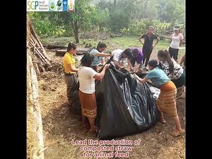 Implementation of UNDP Project