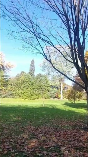 A Peaceful Walk on the Trail #35 🍂 | Calm Autumn Walk