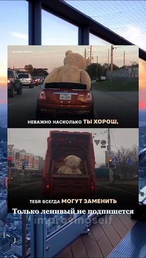 Teddy Bear vs. Busy Highway: A Visual Comparison