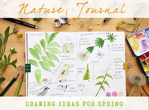 Nature Journal: Drawing Ideas For Spring