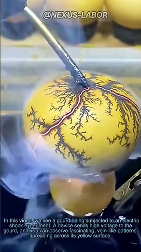 Electric Shock Gourd: Amazing High-Voltage Experiment