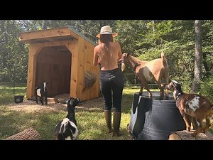 Our New Goats | Gardening Planting for Fall