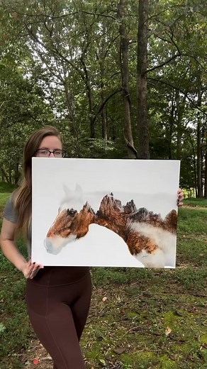 326K views · 25K reactions | I’m a photographer. All my models are rescues from sanctuaries in Georgia. And I use landscapes as a metaphor for freedom and base the type of landscape on what they’ve gone through, then I put the 2 together by hand #photographer #photography #horsephotography #horsephotographer | Ashley Lynn Fotos | Facebook