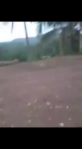 I believe i can fly~ #fyp #memes #fyppppppppppppppppppppppp #memeto