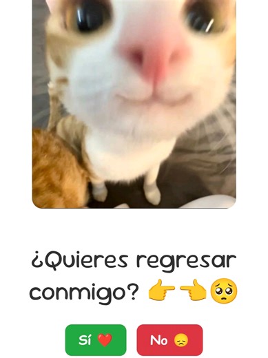 💔¿Regresamos?😿, hecha con HTML, CSS y JavaScript. Escríbeme al interno si deseas el código HTML o tu enlace personalizado (texto, imágenes, música de fondo, link permanente, etc.) #regresemos #ex #perdoname #html #jcode1