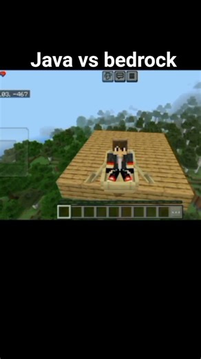 Minecraft Java edition vs bedrock edition #minecraft #bedrock #trend #viral #every_time_gaming0