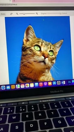 How To Convert A Photo Into An SVG // Cricut Tips For Beginners