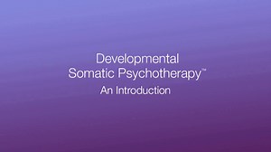 Developmental Somatic Psychotherapy™: An Introduction