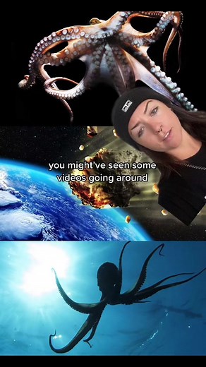 Debunked: The Myth of Octopuses from Space Explained