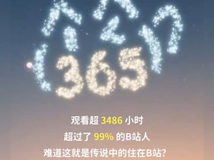 这年度报告有点像住在b站