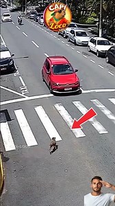 No respet0 a este perrito y esto paso!