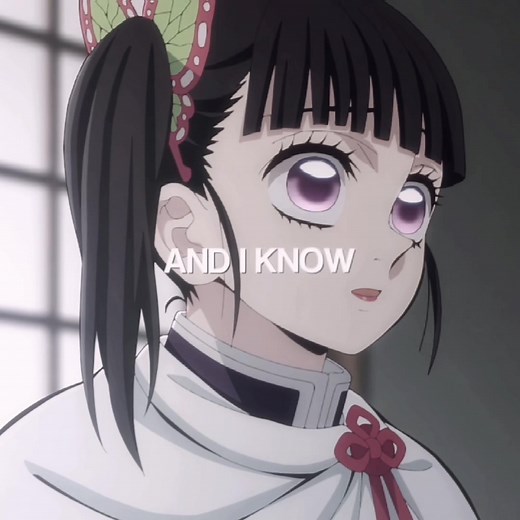 The Intense Battle of The Butterfly Sisters In Demon Slayer