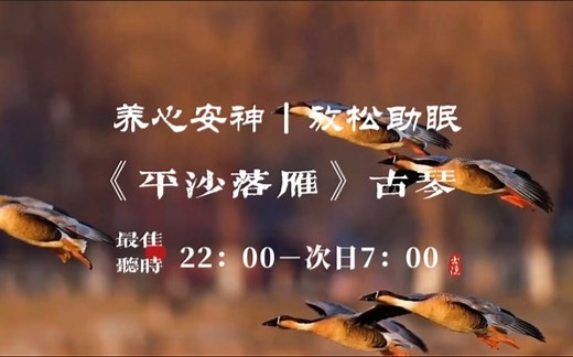 『五音疗疾』养心安神，放松助眠，安稳情绪，养元赋能，紧张焦虑，烦躁失眠，神疲力怯等可多听用《平沙落雁》