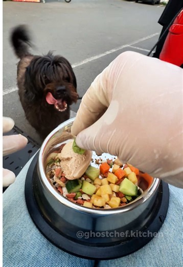 Kochen für Hunde: Leckere Rezepte für deinen Vierbeiner