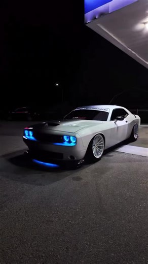 Dana Cameron on TikTok