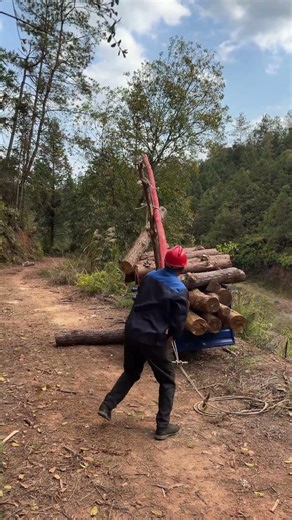 DIY Simple Crane, Wood Loading Made Easy!