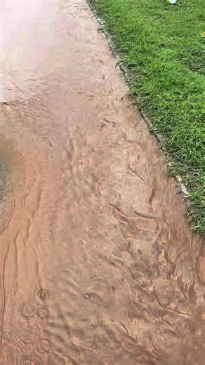 Kivin40 (@kivin40)’s videos with Work - Barrington Levy