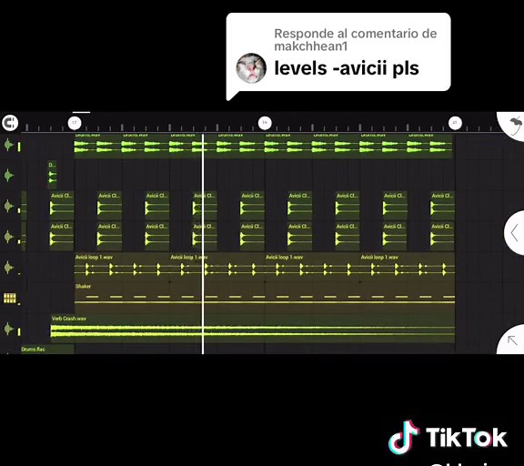 Avicii Levels - Studio Remix and Instrumental