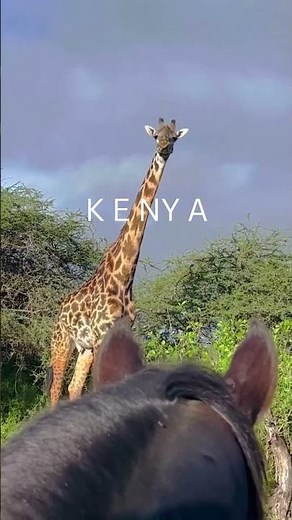 Kenya 🇰🇪 | Là où la nature prend vie 🐘🌍