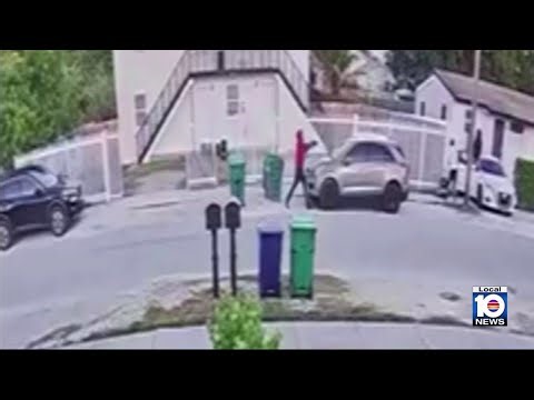 Surveillance video shows gunman open fire in Miami-Dade double shooting