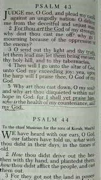 Psalm 43 For I shall yet praise him, who is the health of my countenance, and my God #praise #god