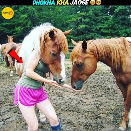 You Won’t Believe These Illusion Photos! 🤯📸