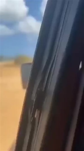 Videos de Jimmy Gonzalez (@jimmygonzalezz) con “sonido original - Jimmy Gonzalez”