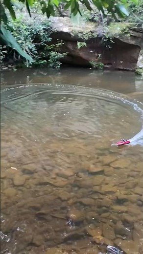 WL917 RC jet boat speeding around lake!