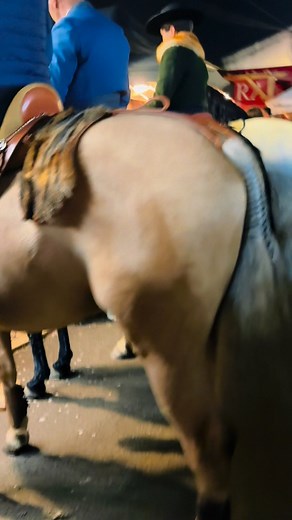 If you’ve ever wondered what it’s like to drop yourself into a cultural horse festival extravaganza run entirely on alcohol, tradition, and zero crowd control, welcome to Golegã. It’s horses weaving through strollers, people weaving through horses, smoke everywhere, someone roasting chestnuts next to a Lusitano doing piaffe, and at least five riders trying to squeeze through a space built for one. A beautiful, chaotic, elbow-to-elbow sea of humanity… and somehow everyone acts like this is perfec