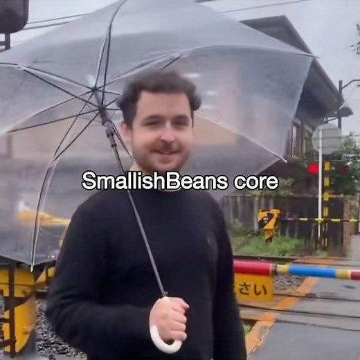 SmallishBeans core