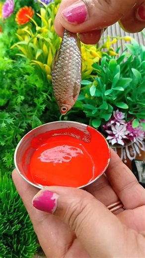 Fish Fry 🔥 Crispy Street Style | I Love Solii Song Vibe 😍 #Shorts