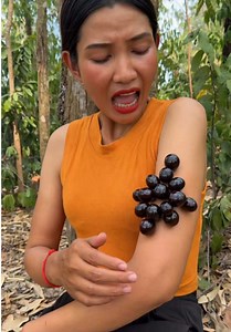 Survival Skills: Clever Forest Hacks with a Single Mom (Part 137)