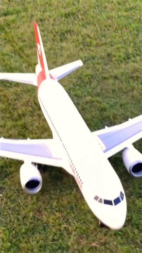 Twinliner edf Jet Coming into land #rcplane #rc #aviation #shorts