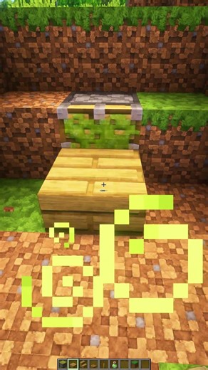 Minecraft X-Ray Hack 💀 #shorts