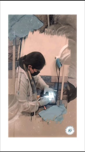 Dr. JAV🦋 on Instagram: "Don’t delay your Dental Appointment 🦷 Book now 📅 #dentalclinics #DentalHealth #dentistlife #dentistryworld #oralhealth"